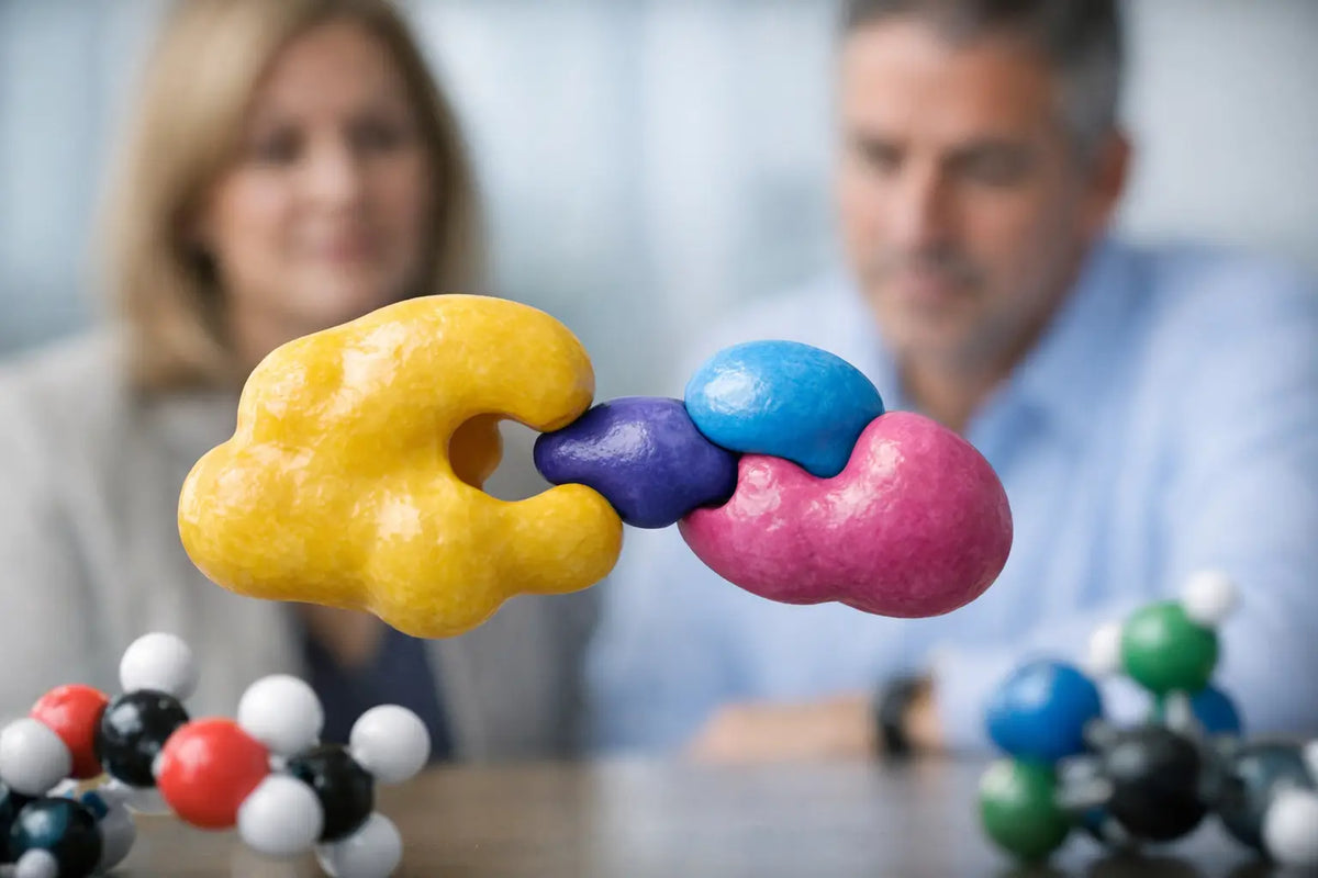 Can Enzymes Interact? What Adults Should Know