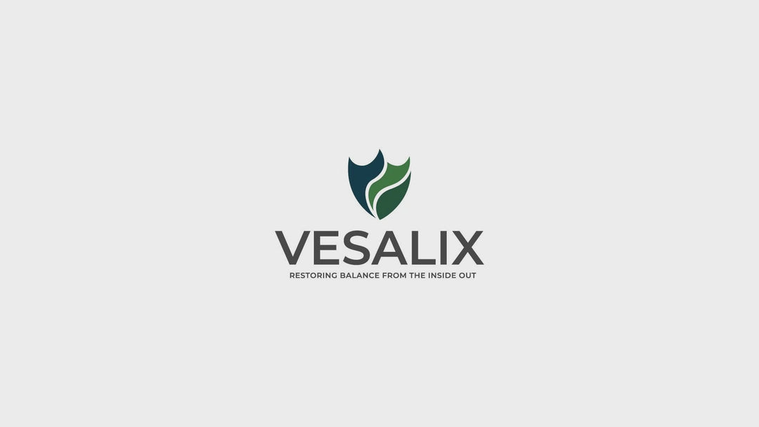 Vesalix Advanced Digestive Complex – Prebiotic, Probiotics, Postbiotic &amp; Enzymes – 60 Capsules